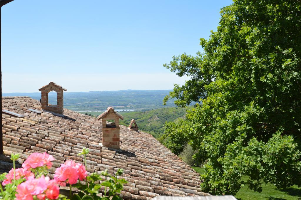 Luxury Villa Colle Dell'Asinello ,Proprietari ,Villa In Esclusiva Near Orvieto Guardea Eksteriør billede