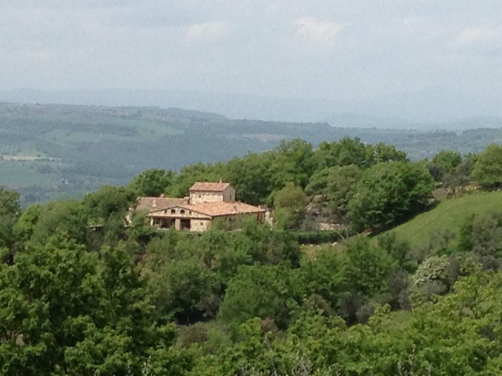 Luxury Villa Colle Dell'Asinello ,Proprietari ,Villa In Esclusiva Near Orvieto Guardea Værelse billede