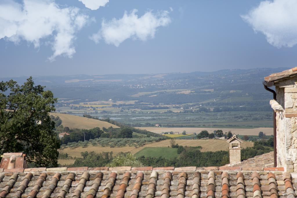 Luxury Villa Colle Dell'Asinello ,Proprietari ,Villa In Esclusiva Near Orvieto Guardea Eksteriør billede